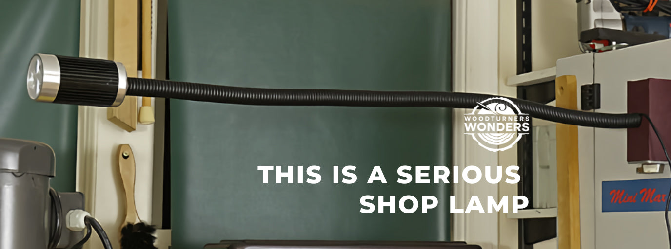 This Is A Serious Shop Lamp